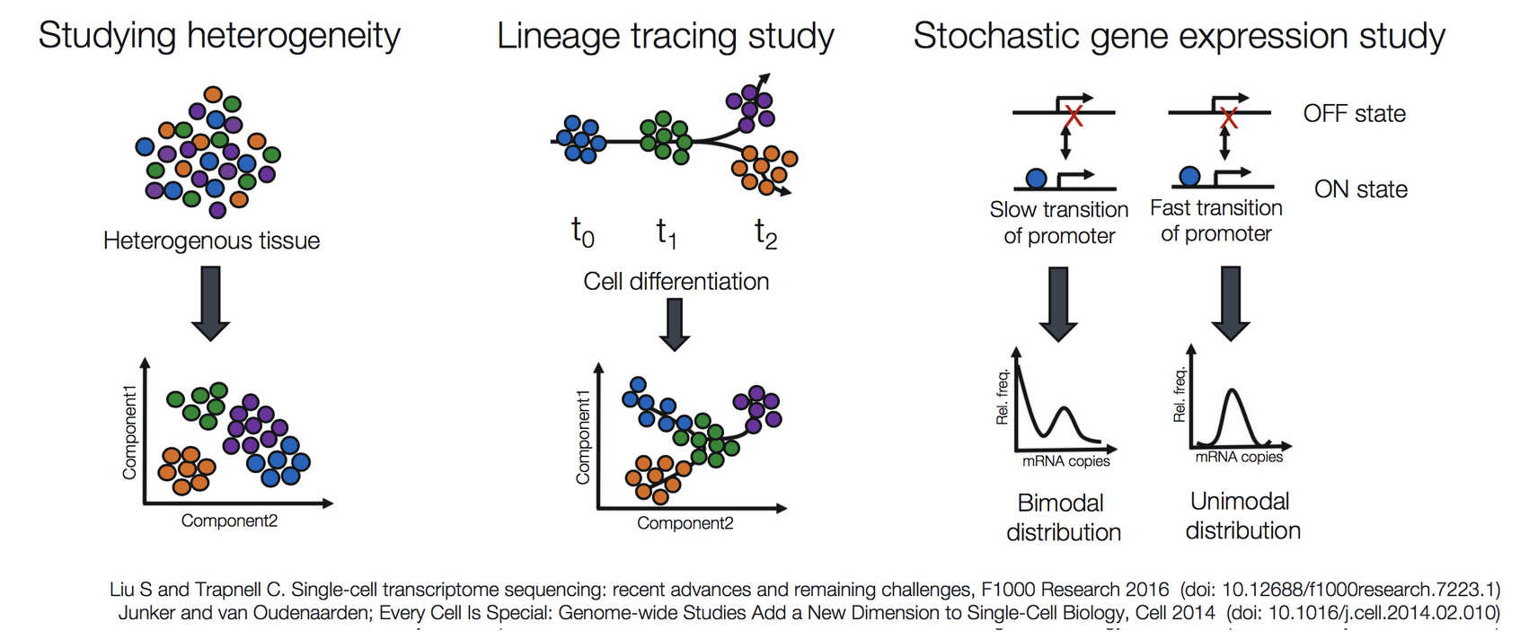 General understanding of scRNA-seq data analysis