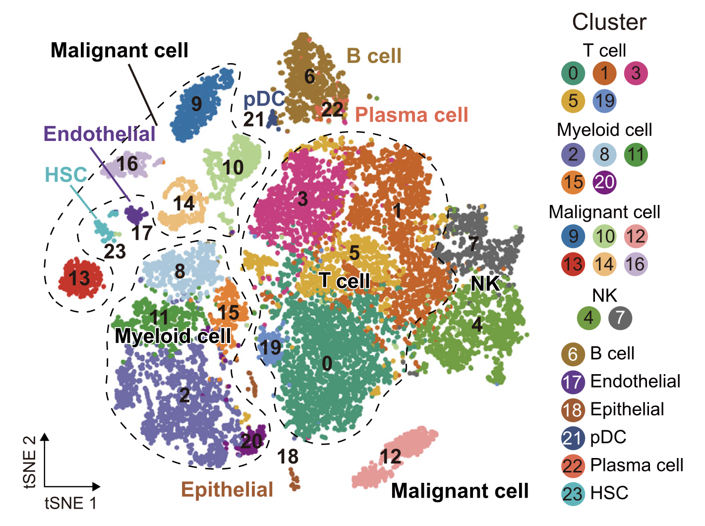 Learning Seruat for scRNA-seq data analysis