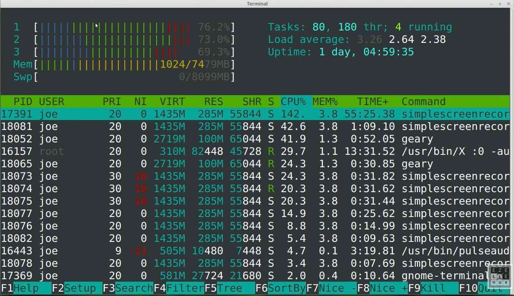 Visual the usage of CPU and memory with htop