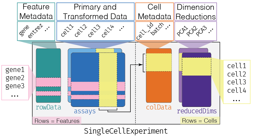 Analysis of single cell RNA-seq data with {SingleCellExperiment}